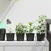 Image de vidaXL Pot à fleurs rond 50 pc Noir Ø 10 x 8 cm Plastique