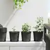 Image de vidaXL Pot à fleurs 100 pcs Noir Ø 15 x 13 cm Plastique