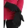Image de Icebreaker 260 Tech Thermo Glove Noir XS