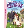 Image de Mes amis les chevaux 13 - Moustique a mal aux dents ! - Hachette Livre en occasion ou reconditionné