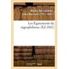 Image de Les Égarements du nigrophilisme - Louis-Narcisse Baudry Des Lozières en occasion ou reconditionné