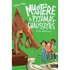 Image de Mystère et Pyjamas-Chaussettes - tome 5: Panique préhistorique - Louise Mey en occasion ou reconditionné