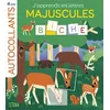 Image de Aut apprends lettres maj-foret - Aurélie Abolivier en occasion ou reconditionné