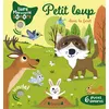 Image de Petit loup dans la forêt - Emilie Collet en occasion ou reconditionné