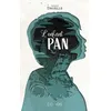 Image de L'enfant-Pan - Arnaud Druelle en occasion ou reconditionné