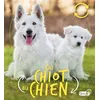 Image de Du chiot au chien - Camilla De La Bédoyère en occasion ou reconditionné