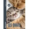 Image de Les Chats - Mille et un docs - Pierre Bessière en occasion ou reconditionné