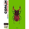 Image de COPAIN - Copain des petites bêtes - Dès 8 ans - Léon Rogez en occasion ou reconditionné