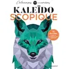 Image de Kaléïdoscopique - Max Jackson en occasion ou reconditionné