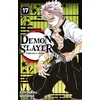 Image de Demon Slayer T17 - Koyoharu Gotouge en occasion ou reconditionné