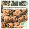 Image de Cuisine à la ferme aujourd'hui dans le Lot - Collectif en occasion ou reconditionné