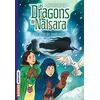 Image de Les dragons de Nalsara, Tome 07 - Marie-Hélène Delval en occasion ou reconditionné