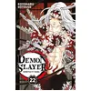 Image de Demon Slayer T22 - Koyoharu Gotouge en occasion ou reconditionné