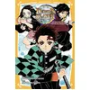 Image de Demon Slayer - Roman jeunesse T01 : Tanjiro & Nezuko l'origine de leur destin - Shuka Matsuda en occasion ou reconditionné