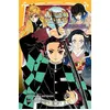 Image de Demon Slayer - Roman jeunesse T02 : Les liens fraternels et les pourfendeurs de démons - Shuka Matsuda en occasion ou reconditionné
