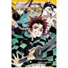Image de Demon Slayer - Roman jeunesse T04 - S. Matsuda en occasion ou reconditionné
