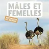 Image de Mâles et femelles - Naturagency en occasion ou reconditionné