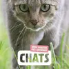 Image de Chats - Naturagency en occasion ou reconditionné