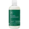 Image de Paul Mitchell Lavender Mint Moisturizing Shampoo - 300 ml | Pour cheveux secs