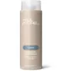 Image de Paul Mitchell Conditioner Awapuhi - 300 ml | Pour tous types de cheveux