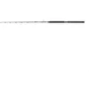 Image de Canne casting Penn Brigade Trolling 30-60lb