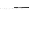 Image de Canne casting Penn Battalion 30-50lb
