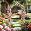 Image de Arche de Jardin en Métal - RELAX4LIFE - Tube en Fer Galvanisé - Treillis sur le Toit pour Plantes Grimpantes - 120X40X221CM