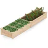 Image de COSTWAY Carré Potager en Bois 228 x 62 x 25 cm 2 Bacs à Fleurs et Séparateurs Lit de Jardin pour Fleurs Légumes Fruits Herbes