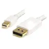 Image de StarTech.com Câble mini DisplayPort / DisplayPort Blanc - 2 m