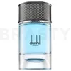 Image de Dunhill Signature Collection Nordic Fougere eau de parfum homme 100 ml