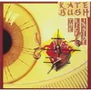 Image de Disque Vinyle - KATE BUSH - The Kick Inside - 33 tours - Platine - Noir
