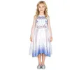 Image de Déguisement - DISGUISE - Elsa - Violet - Tulle fin - Taille 109-123 cm