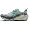 Image de Chaussures De Running Brooks Ghost Trail