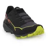 Image de Chaussures de trail SALOMON Thundercross Noir - Homme - Adulte - Running - Régulier