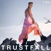 Image de P!nk - Trustfall