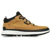 Image de Timberland Filed Trekker Low Lace Sneaker Baskets homme