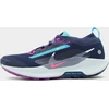 Image de Nike Chaussures de trail Pegasus Trail 5 GORE-TEX Homme - Bleu, Bleu 46