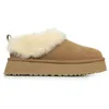 Image de UGG Tazzelle Chausson femme