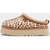 Image de UGG Tazz II Femme - Marron, Marron 36