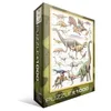 Image de Puzzle Dinosaures 1000 pièces - Eurographics - Animaux - Certifié FSC