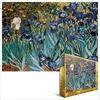 Image de Puzzle 1000 pièces - Irises - Vincent Van Gogh - EUROGRAPHICS - Tableaux et peintures - Adulte