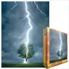 Image de Puzzle Eurographics 1000 pièces - Arbre frappé par la foudre - Paysage et nature - Adulte