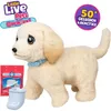 Image de Moose Toys Little Live Pets Ouchies Puppy Cooper en occasion ou reconditionné