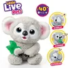 Image de Peluche interactive - LITTLE LIVE PETS - Bébé Koala - Sons - Réactions