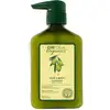 Image de CHI Après-shampoing Olive Organics Hair & Body Conditioner - 340 ml | Pour après-shampoing sans sulfates