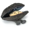 Image de Peluche Moule Michelle Amuseable