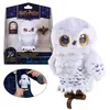 Image de Mini Hedwige Enchantée Interactive - Wizarding World - SPINMASTER - A Partir De 6 Ans