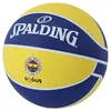 Image de Ballon Fenerbahçe El Team 2018