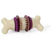 Image de PETSAFE Jouet os nettoyant et friandise Bristle Bone M - Pour chien