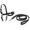 Image de Harnais Easy Walk pour chien PETSAFE - Noir - S - Confortable - 4 points de Réglage - Résistant